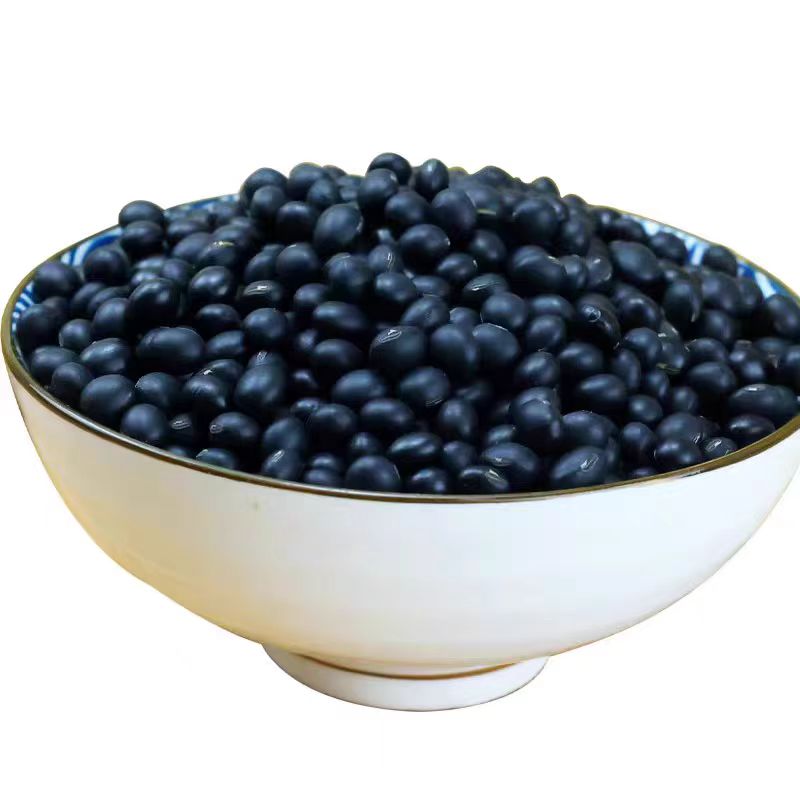 东北黑龙江农家新货黄芯小黑豆非转基因打豆浆生豆芽粗粮杂粮
