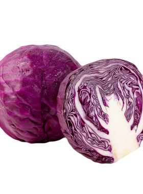 新鲜农家卷心菜沙拉菜食用沙拉菜新鲜现摘紫甘蓝包菜