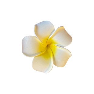 拍照旅游海边配饰花朵发夹女侧边刘海夹可爱鸭嘴夹发卡鸡蛋花头饰