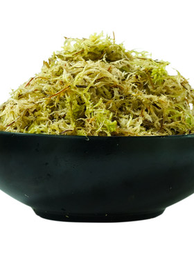 蝴蝶兰专用水苔兰科植物通用
