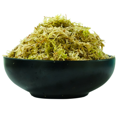 蝴蝶兰专用水苔兰科植物通用