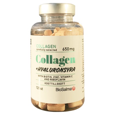 瑞典Biosalma牛胶原蛋白I型III型