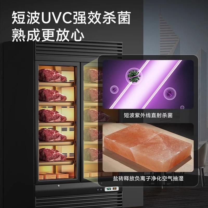 驰能商用牛排熟成柜风干式牛肉排酸展示柜西餐厅风冷保鲜冷藏冰箱