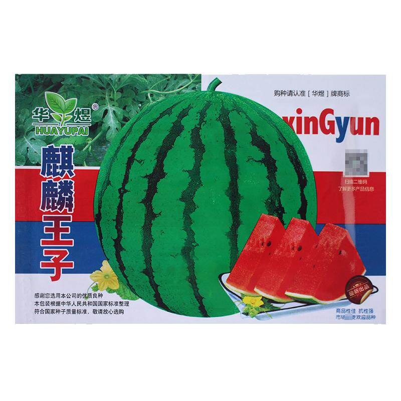 麒麟王子西瓜种子红壤早熟水果超大甜高产阳台盆栽庭院农家种籽孑