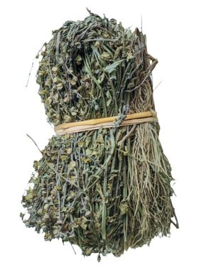 广东好品质野生半枝莲干品中药材
