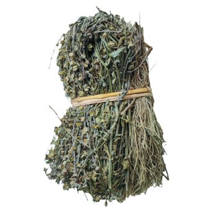 野生带根新货半枝莲半支莲韩信草牙刷草并头草四方草另售蛇舌草