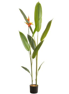 七茉仿真绿植盆栽美人蕉假植物
