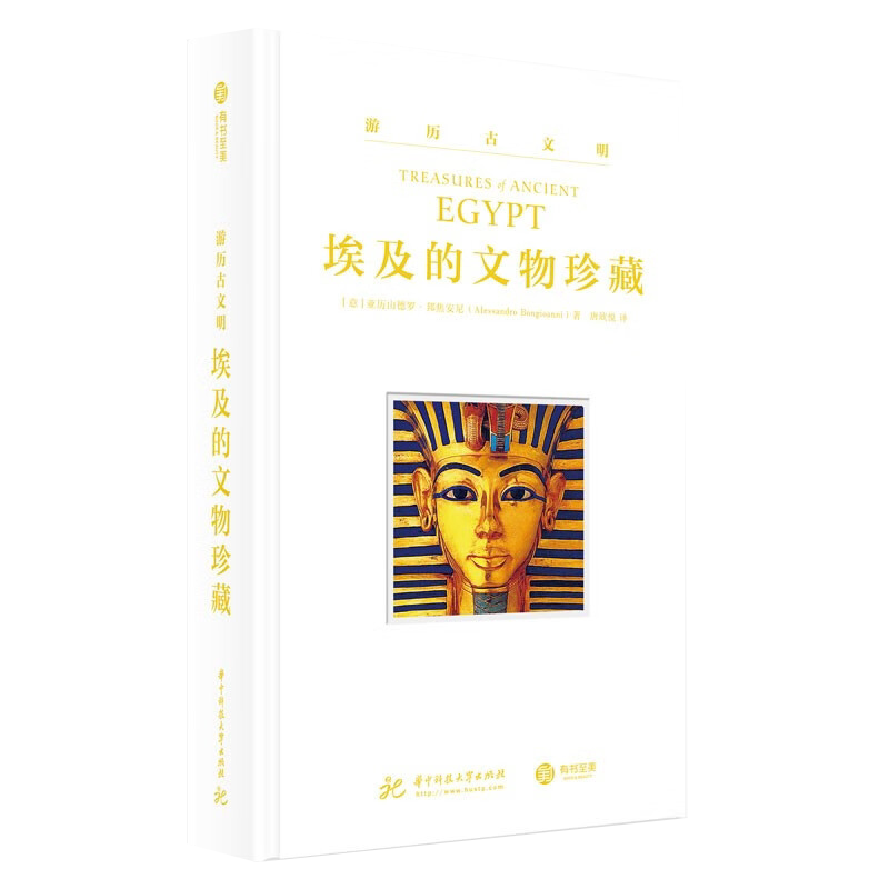 寻秘古埃及 勇闯法老之国的艺术家与探险家 埃及古代史 古埃及考古实录 500张手绘图 超丰富史料文字 科普百科 世界历史文化书籍