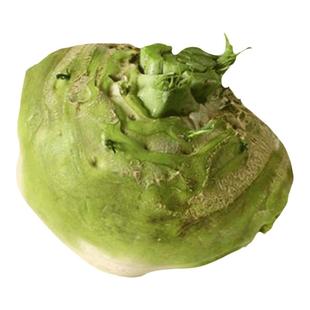 四川光头芥菜种子辣疙瘩种籽孑四季老品种芥菜大头菜蔬菜农家菜种