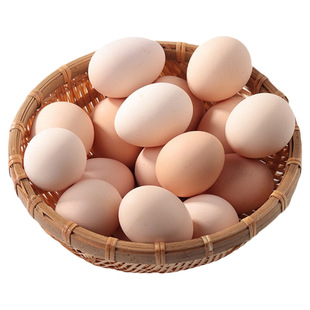 新鲜正宗土鸡蛋10枚/20枚/30枚农家自养大个鲜鸡蛋农家散养