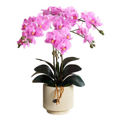 蝴蝶兰仿真花摆设兰花轻奢高端假花插花餐桌花艺摆件绢花摆花装饰