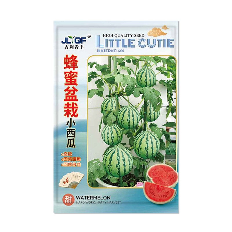 吉利青丰蜂蜜盆栽小西瓜种子