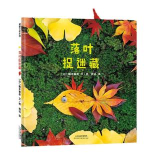 【新版】落叶捉迷藏——精装 2岁以上 落叶果实 想象力动手能力 实物造型实景拍摄 秋天 好奇心 大自然 蒲蒲兰绘本馆旗舰店