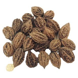 长白山野生山核桃食用山核桃仁自选把玩核桃文玩核桃转手核桃500g