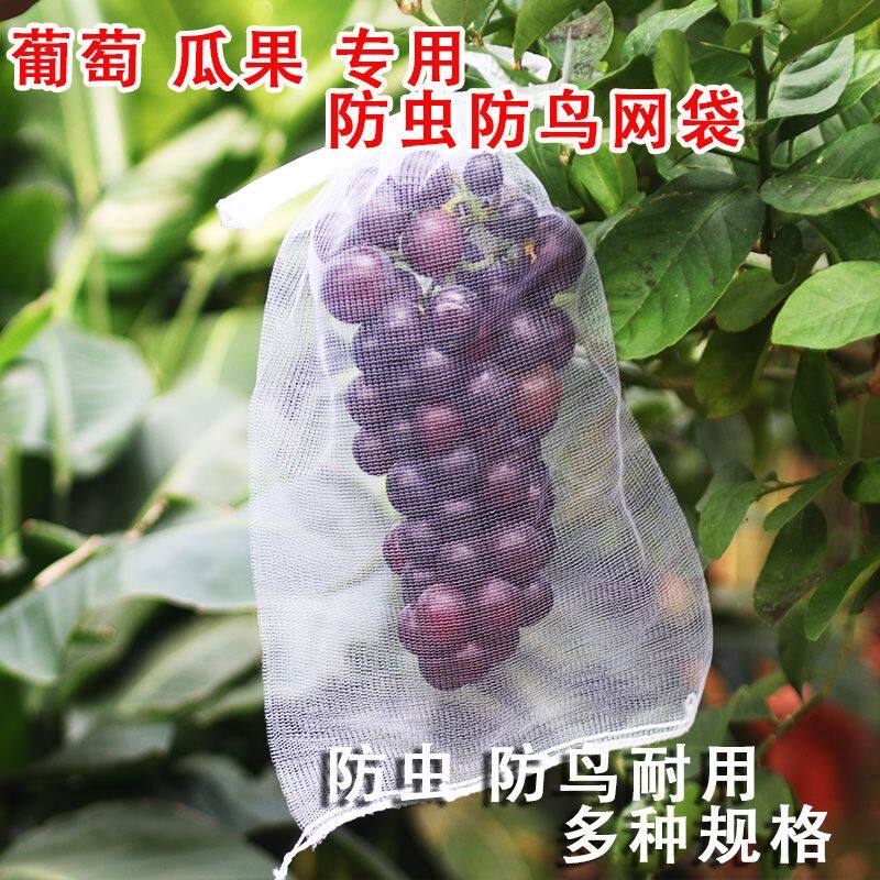白色尼龙防虫网袋枇杷葡萄果树透气防鸟防虫瓜果培育套袋