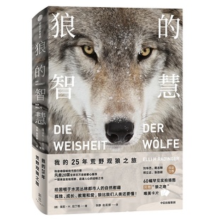 【当当网正版书籍】狼的智慧 埃莉H拉丁格 著 动物智慧 进化论 狼性 适应力 竞争力 领导力人性 狼的百科狼的行为 中信出版社图书