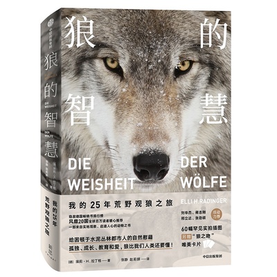 【当当网正版书籍】狼的智慧 埃莉H拉丁格 著 动物智慧 进化论 狼性 适应力 竞争力 领导力人性 狼的百科狼的行为 中信出版社图书