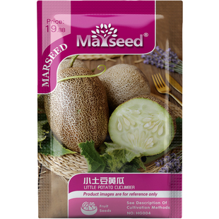 小土豆猕猴桃黄瓜种子种苗生食榨汁新手阳台宝藏传家宝蔬菜B227