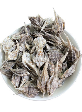 圆身大号海麻雀公母配对泡酒料