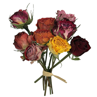 多头小玫瑰 云南直发DIY装饰蔷薇泡泡 迷你真干花拍照道具小花束