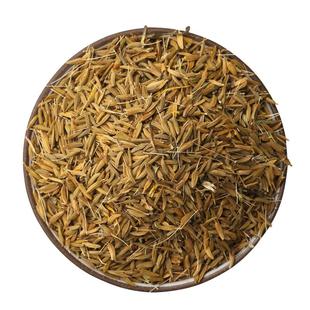 散装蒲公英种子2025四季新品野生大叶蒲公英种籽野菜婆婆丁籽包邮