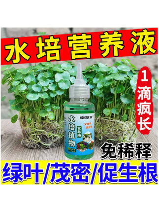 水培植物营养液通用型铜钱草富贵竹白掌水养的花卉专用浓缩液体肥