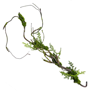 藤条装饰苔藓树藤枯藤森系造景装饰假藤条摆放垂挂青苔藤仿真树藤