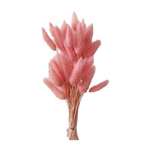 兔尾草干花包混搭花束天然ins狗尾永生浮油花材料客厅桌面装饰物