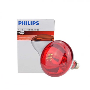 飞利浦红外线灯泡250W高校实验科研单位定制调温定时灯架干燥保温