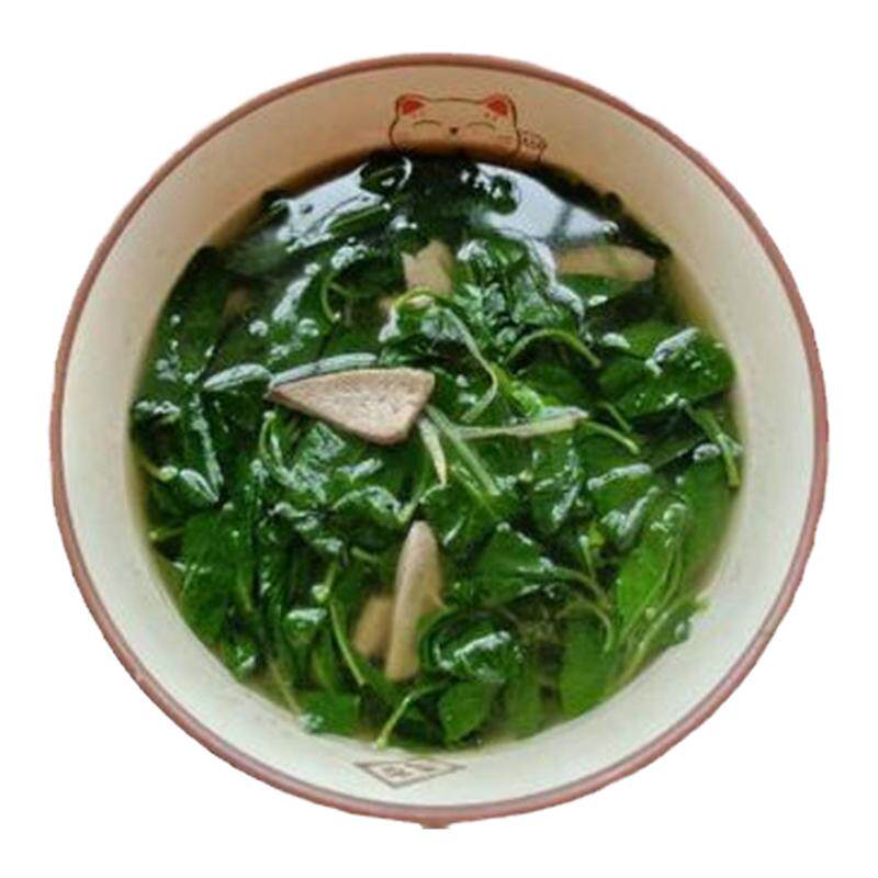 新鲜纯枸杞叶四季食用枸杞菜嫩叶子当天采摘农产品广东发货纯叶子