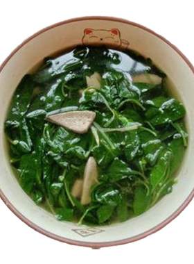 新鲜枸杞叶四季食用嫩叶当天采摘