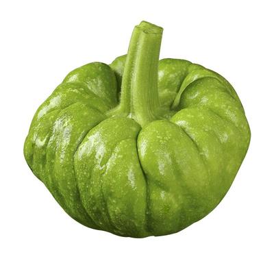 中鲜生姜柄瓜新鲜嫩南瓜