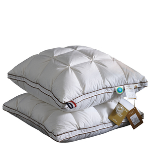 床头羽绒靠垫芯白鹅绒鹅毛大抱枕芯卧室靠枕芯靠背厚酒店内胆沙发