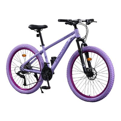 红旗山地自行车男女变速紫胎