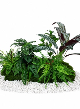 仿真绿植造景凤尾草服装店橱窗造景秋冬摆件场景布置创意风假绿植