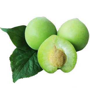 诏安正宗新鲜青梅果现采摘鲜果泡酒专用酸梅子水果高山老树青竹梅