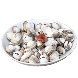 三门新鲜血蛤 银蚶血蚶贝类海鲜鲜活水产品温州花蛤2斤装顺丰包邮