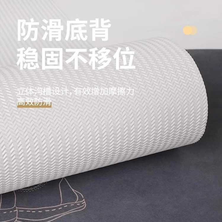 进门地垫入户门垫免洗防尘耐脏进户门地毯家用PVC防滑入门小垫子