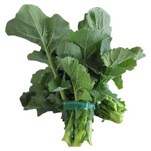 改良割心油菜苔种子油菜心菜薹四季播耐热农家田园阳台蔬菜种籽孑