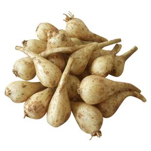 江西荞头新鲜藠头现挖无根须去叶生叫头农家自种茭头教头乔头包邮