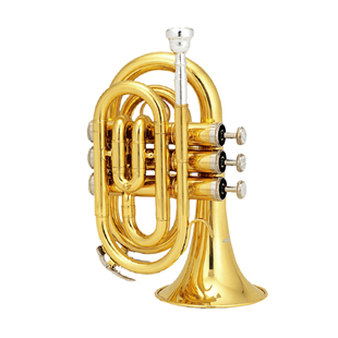 津宝短号乐器降B调初学小号短号步号手掌号军乐队冲锋号西洋吹管