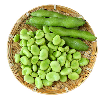 农家自种蔬菜豆嫩生罗汉