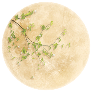 月球玄关装饰画奶油风绿植走廊过道壁灯餐厅挂画卧室床头壁画客厅