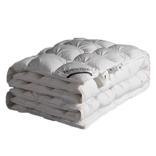 希尔顿匈五星级酒店牙利正品羽绒被白鹅绒被子被芯春秋保暖加厚