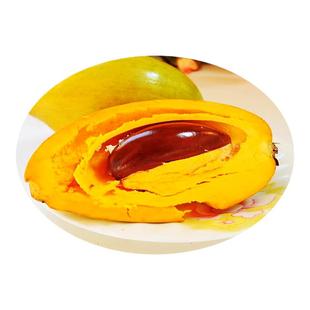 蛋黄果苗嫁接特大果耀堂仙桃苗四季种植鸡蛋果苗盆栽地裁当年挂果