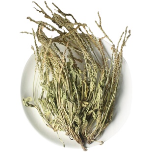 车前草干货500g克 野生整颗 车前草中药材非特级袋泡茶车前草新鲜