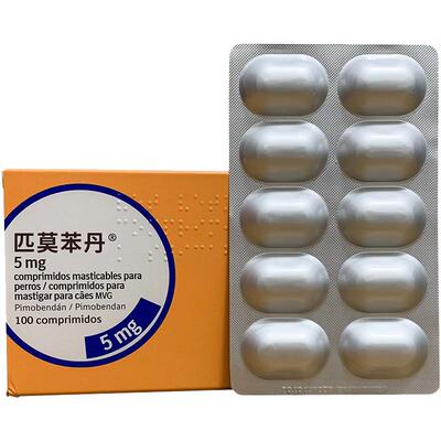 进口西班牙匹莫苯丹宠