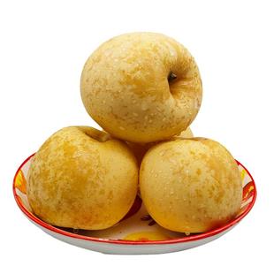 山东烟台苹果黄金奶油富士苹果脆甜多汁新鲜水果栖霞黄苹果特产丑