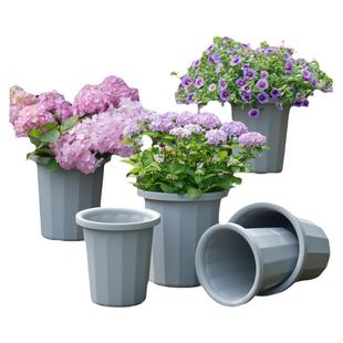 海蒂的花园旗舰店爱丽思多棱形花盆月季绣球绿植加厚树脂种植盆