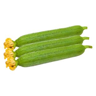 肉丝瓜种子高产种籽苗春季孑子春天水瓜南方四季菜籽菜种大全